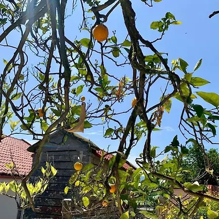 Holiday home Casa Gerente Muros